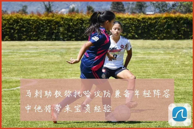 马刺助教称托哈攻防兼备年轻阵容中他将带来宝贵经验