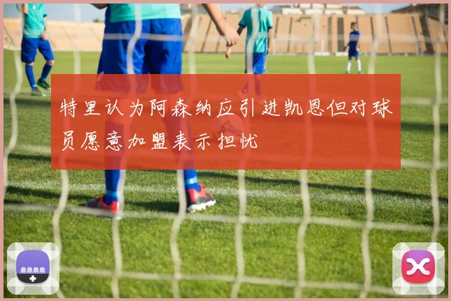 特里认为阿森纳应引进凯恩但对球员愿意加盟表示担忧